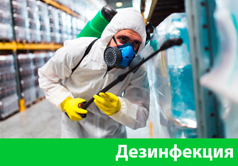Дезинфекция в городе Чапаевск
