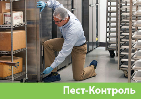 Пэст-Контроль в городе Чапаевск