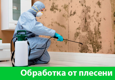 Обработка от плесени в городе Чапаевск