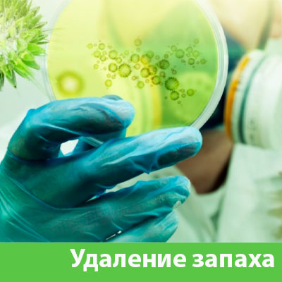 Удаление запахов в Чапаевске