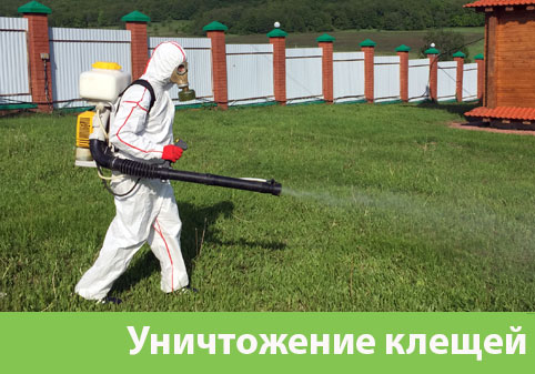 Уничтожение клещей в городе Чапаевск
