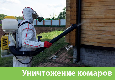 Уничтожение комаров в городе Чапаевск